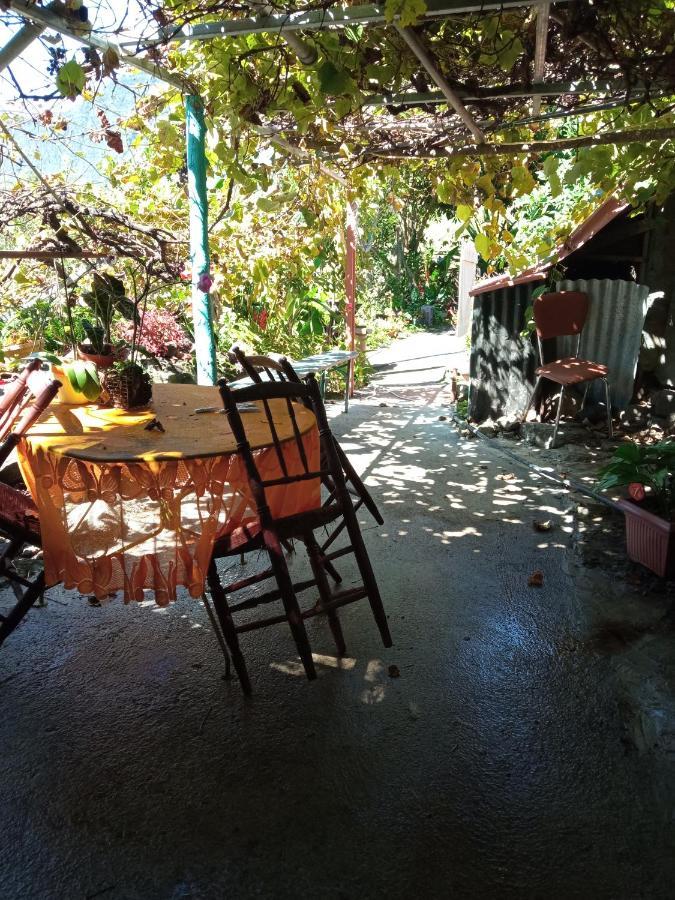 Ker L'Îlet Bed and Breakfast Cilaos Eksteriør billede